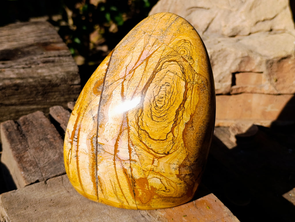 Polished Picture Stone Jasper Standing Free Form x 1 From Ais-Ais, Namibia - Toprock Gemstones and Minerals 