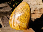 Polished Picture Stone Jasper Standing Free Form x 1 From Ais-Ais, Namibia - Toprock Gemstones and Minerals 