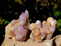 Natural Mixed Spirit Quartz Clusters x 4 From Boekenhouthoek, South Africa