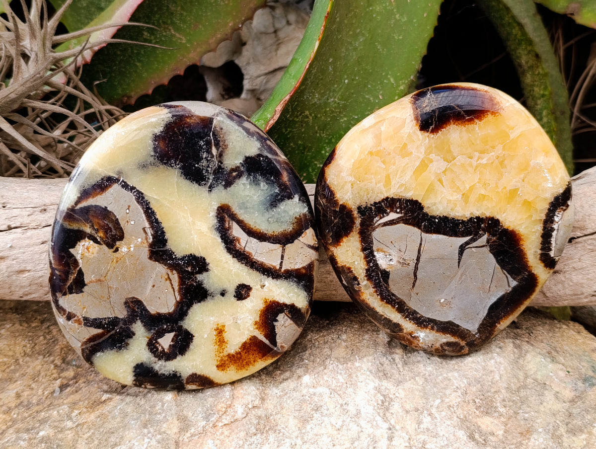 Polished Septerye Slices x 6 From Madagascar - Toprock Gemstones and Minerals 