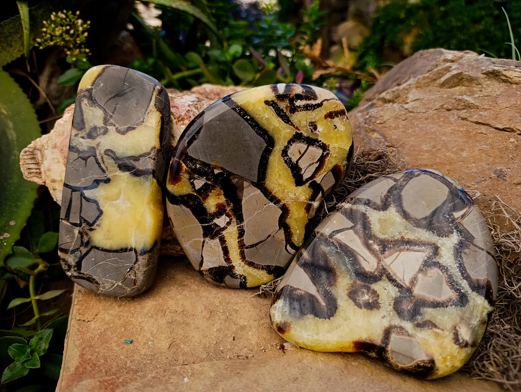 Polished Septerye Slices x 6 From Madagascar - Toprock Gemstones and Minerals 