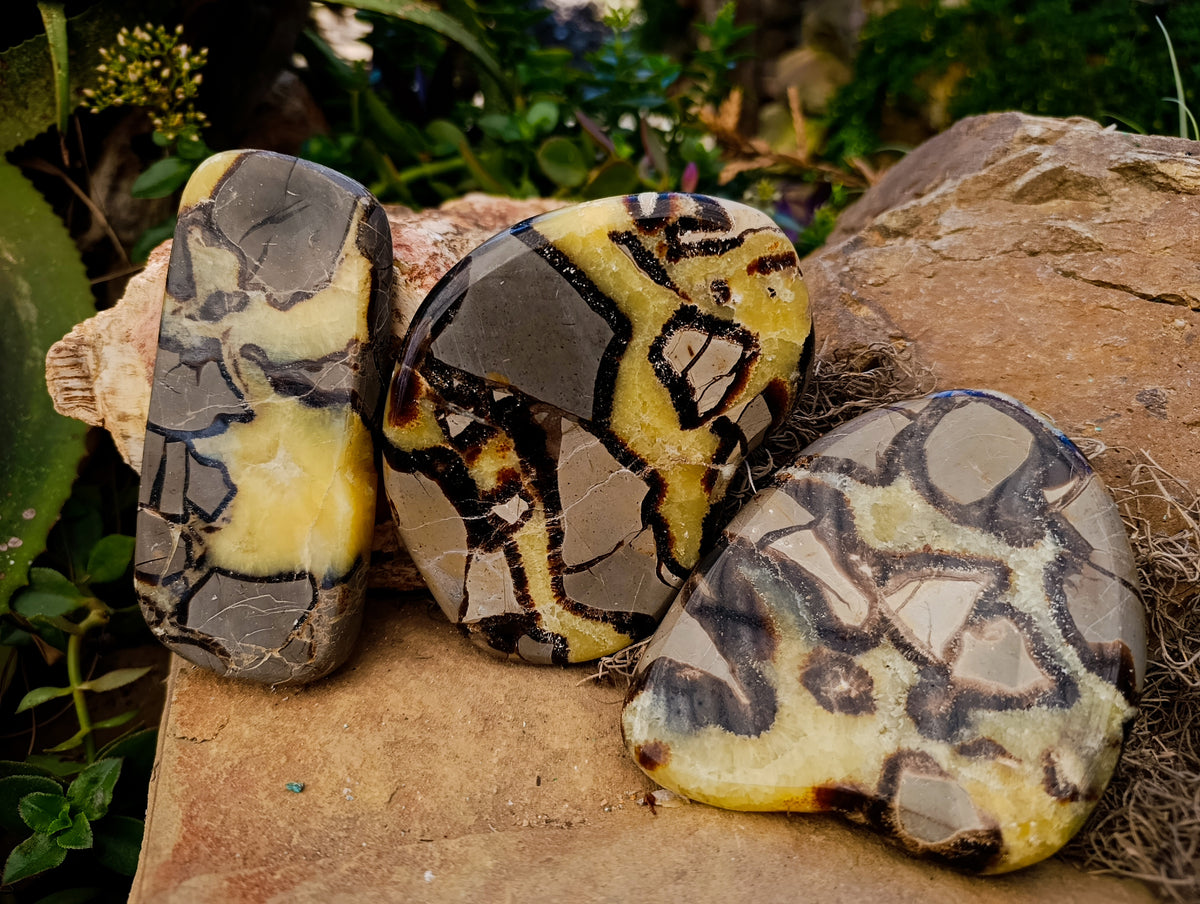 Polished Septerye Slices x 6 From Madagascar - Toprock Gemstones and Minerals 