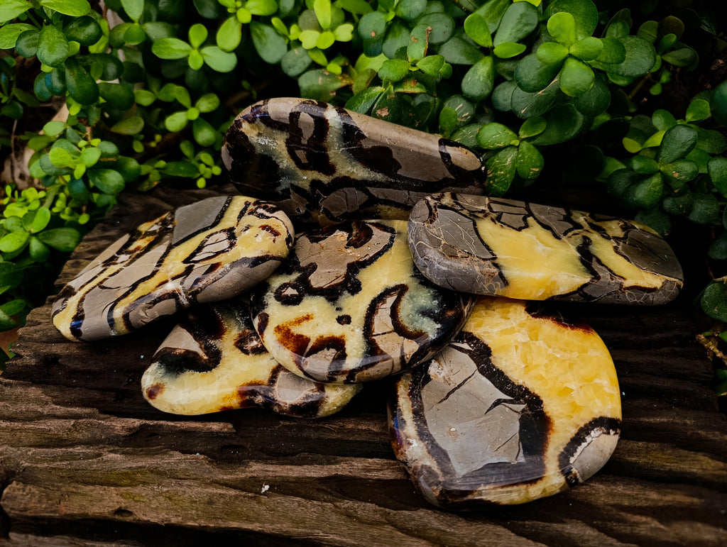 Polished Septerye Slices x 6 From Madagascar - Toprock Gemstones and Minerals 