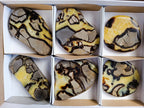 Polished Septerye Slices x 6 From Madagascar - Toprock Gemstones and Minerals 