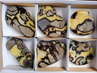Polished Septerye Slices x 6 From Madagascar - Toprock Gemstones and Minerals 