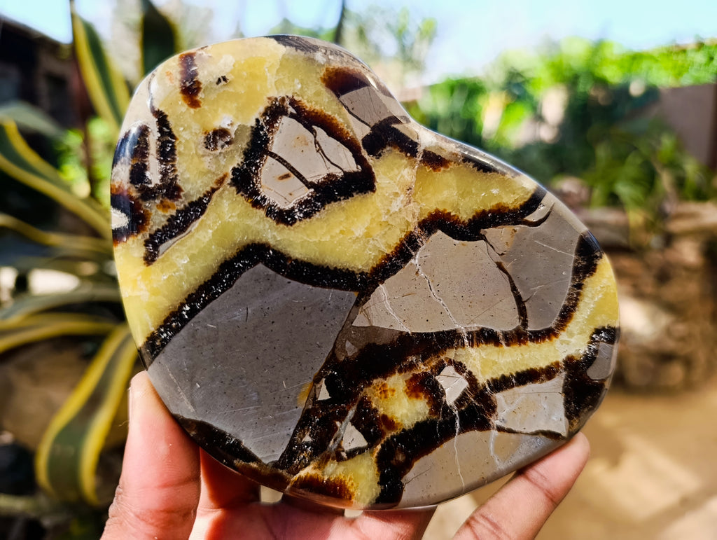 Polished Septerye Slices x 6 From Madagascar - Toprock Gemstones and Minerals 