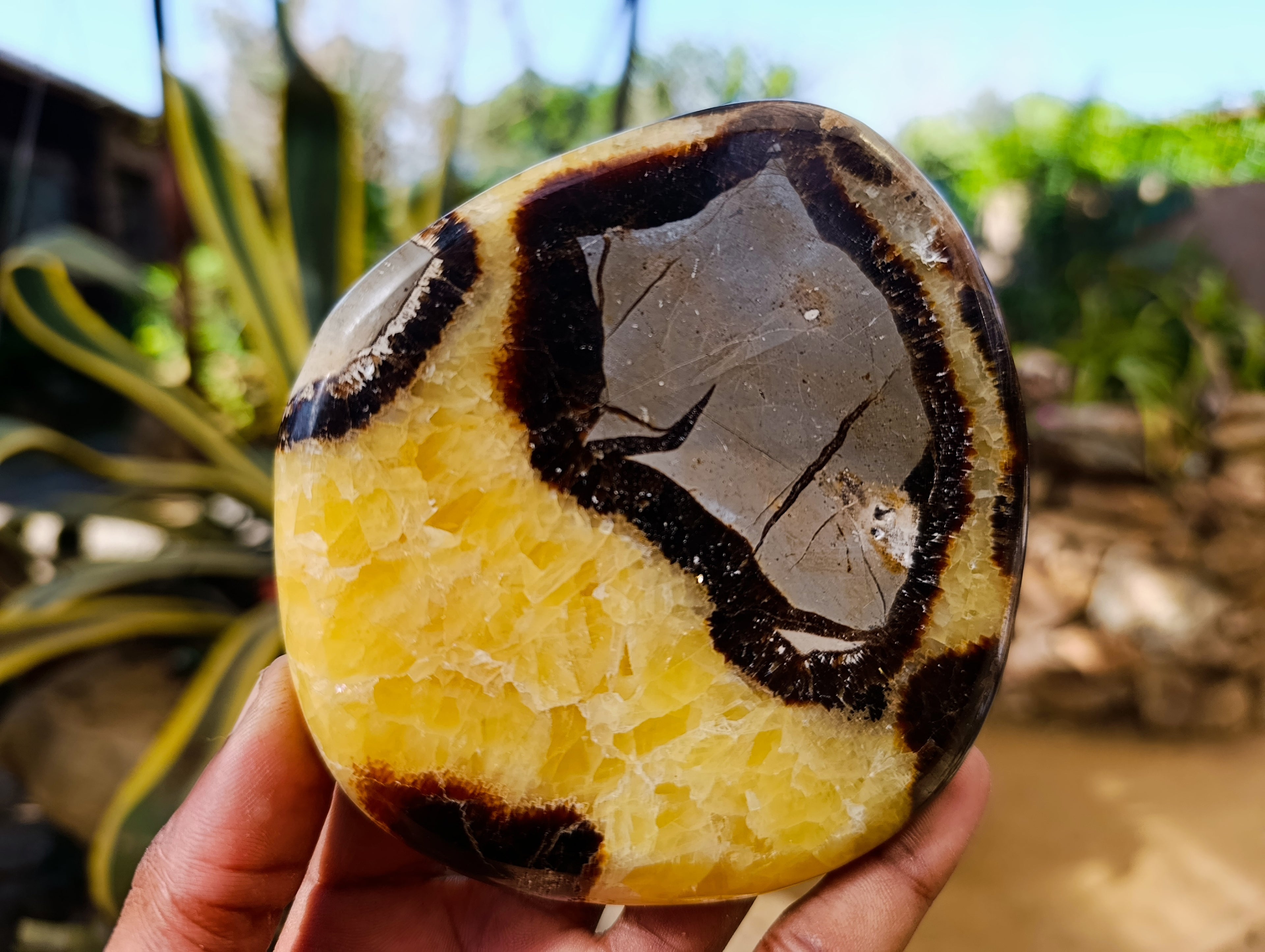 Polished Septerye Slices x 6 From Madagascar - Toprock Gemstones and Minerals 