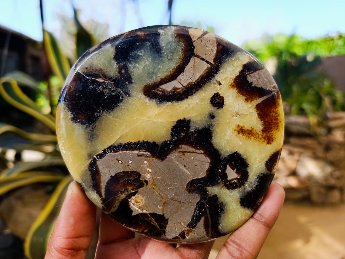 Polished Septerye Slices x 6 From Madagascar - Toprock Gemstones and Minerals 