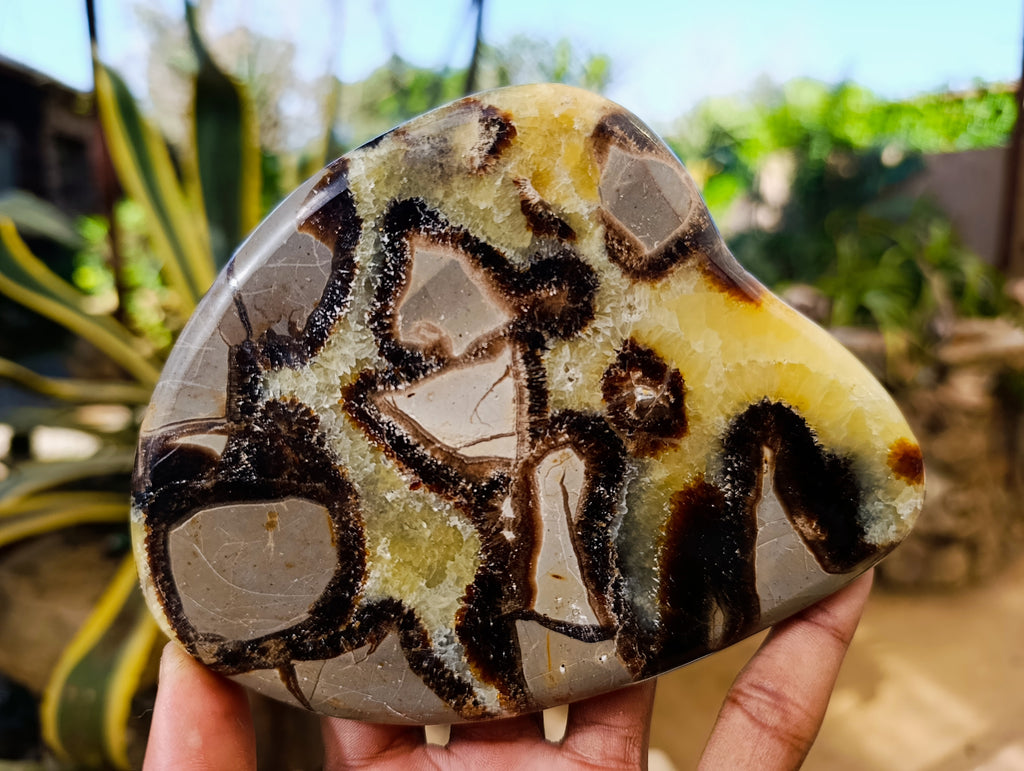 Polished Septerye Slices x 6 From Madagascar - Toprock Gemstones and Minerals 