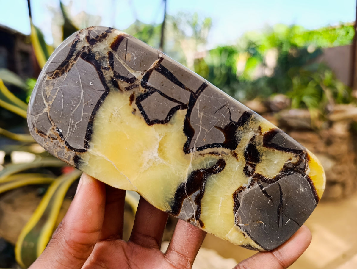 Polished Septerye Slices x 6 From Madagascar - Toprock Gemstones and Minerals 