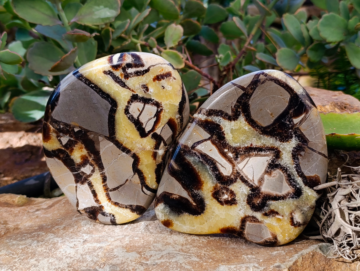 Polished Septerye Slices x 6 From Madagascar - Toprock Gemstones and Minerals 