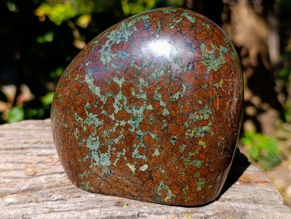 Polished Eclogite Standing Free Form x 1 From Northern Cape, South Africa