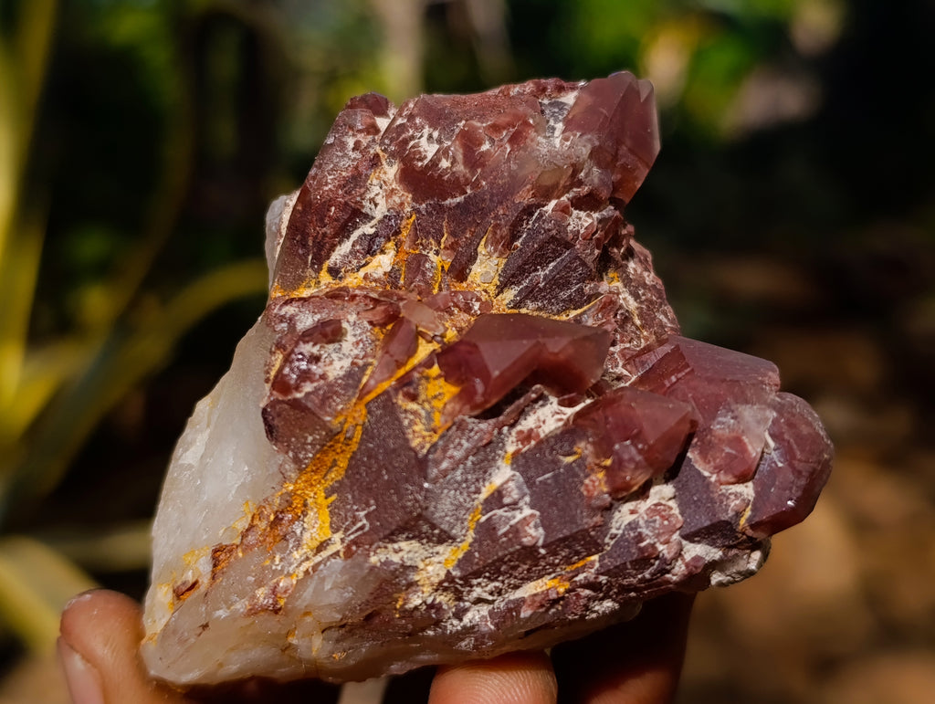 Natural Hematoid Quartz Clusters x 12 From Karoi, Zimbabwe - Toprock Gemstones and Minerals 