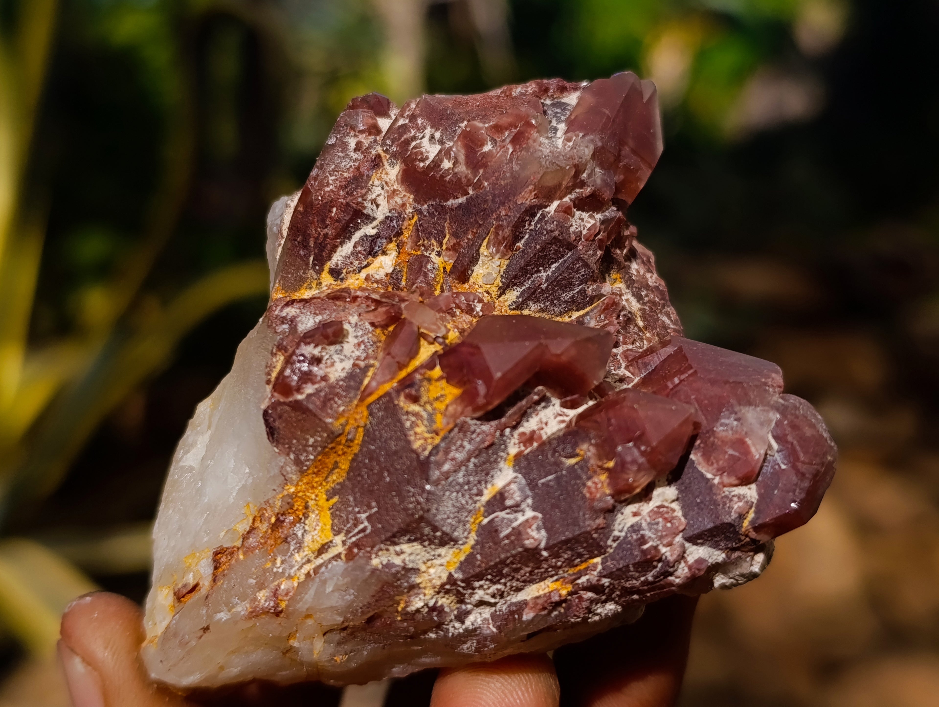 Natural Hematoid Quartz Clusters x 12 From Karoi, Zimbabwe - Toprock Gemstones and Minerals 