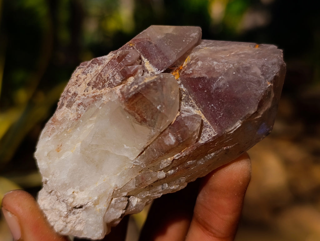 Natural Hematoid Quartz Clusters x 12 From Karoi, Zimbabwe - Toprock Gemstones and Minerals 
