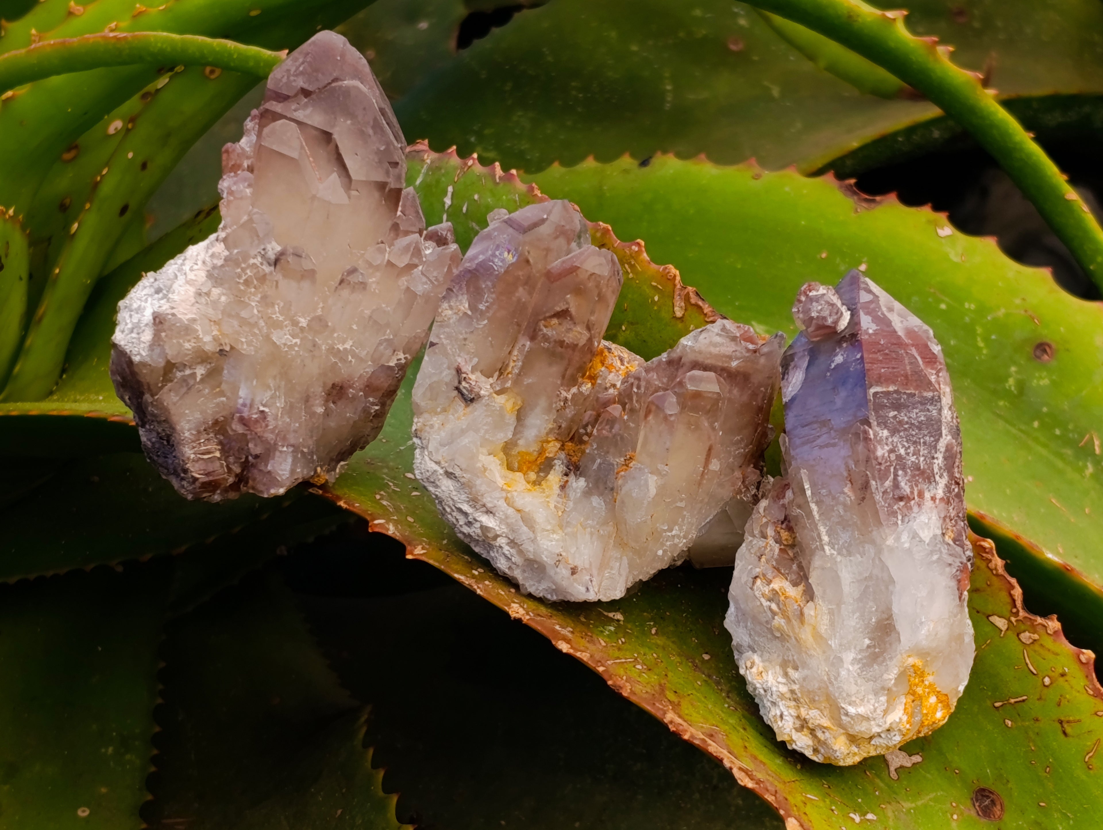 Natural Hematoid Quartz Clusters x 12 From Karoi, Zimbabwe - Toprock Gemstones and Minerals 