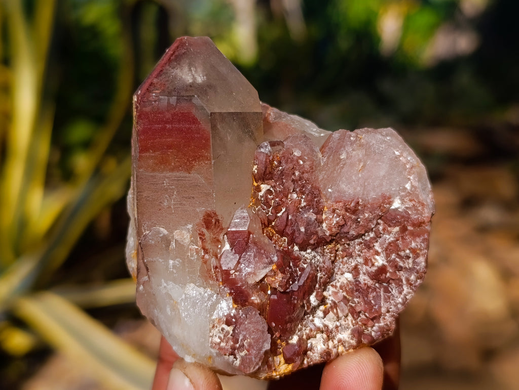 Natural Hematoid Quartz Clusters x 12 From Karoi, Zimbabwe - Toprock Gemstones and Minerals 