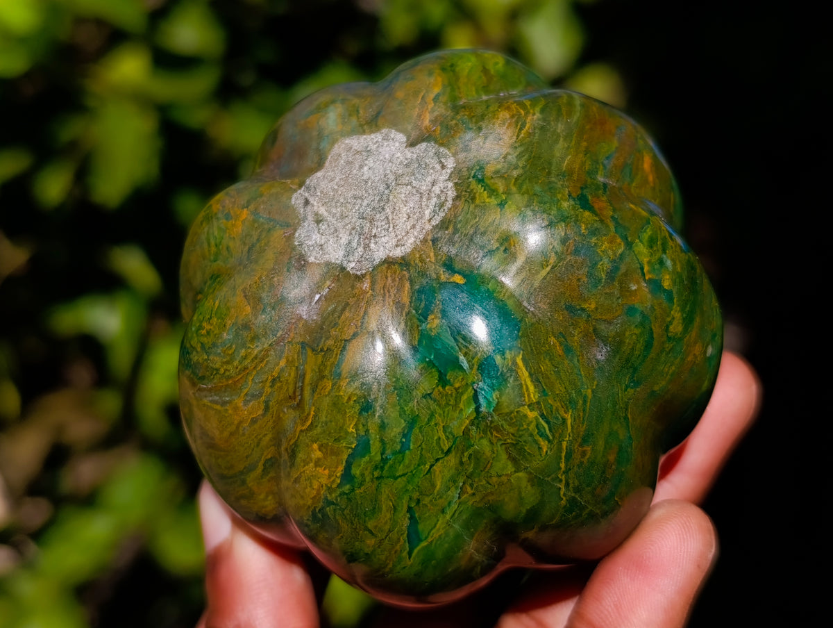 Hand Made Pumpkin and Patty Pan Squash Carvings x 3 From Zimbabwe - Toprock Gemstones and Minerals 