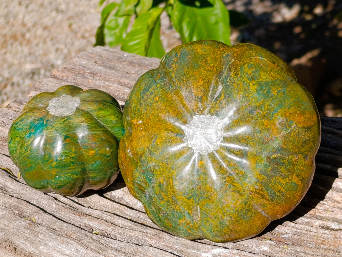 Hand Made Pumpkin and Patty Pan Squash Carvings x 3 From Zimbabwe - Toprock Gemstones and Minerals 