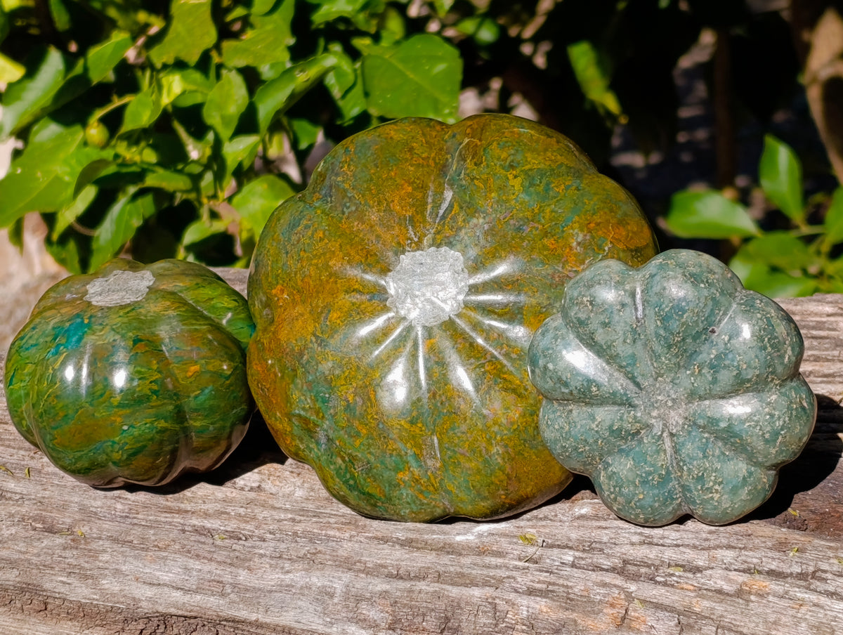 Hand Made Pumpkin and Patty Pan Squash Carvings x 3 From Zimbabwe - Toprock Gemstones and Minerals 