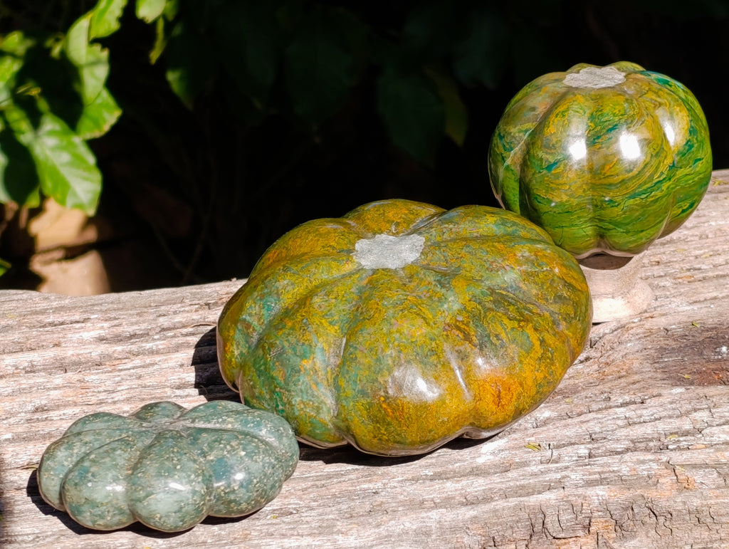 Hand Made Pumpkin and Patty Pan Squash Carvings x 3 From Zimbabwe - Toprock Gemstones and Minerals 