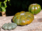 Hand Made Pumpkin and Patty Pan Squash Carvings x 3 From Zimbabwe - Toprock Gemstones and Minerals 