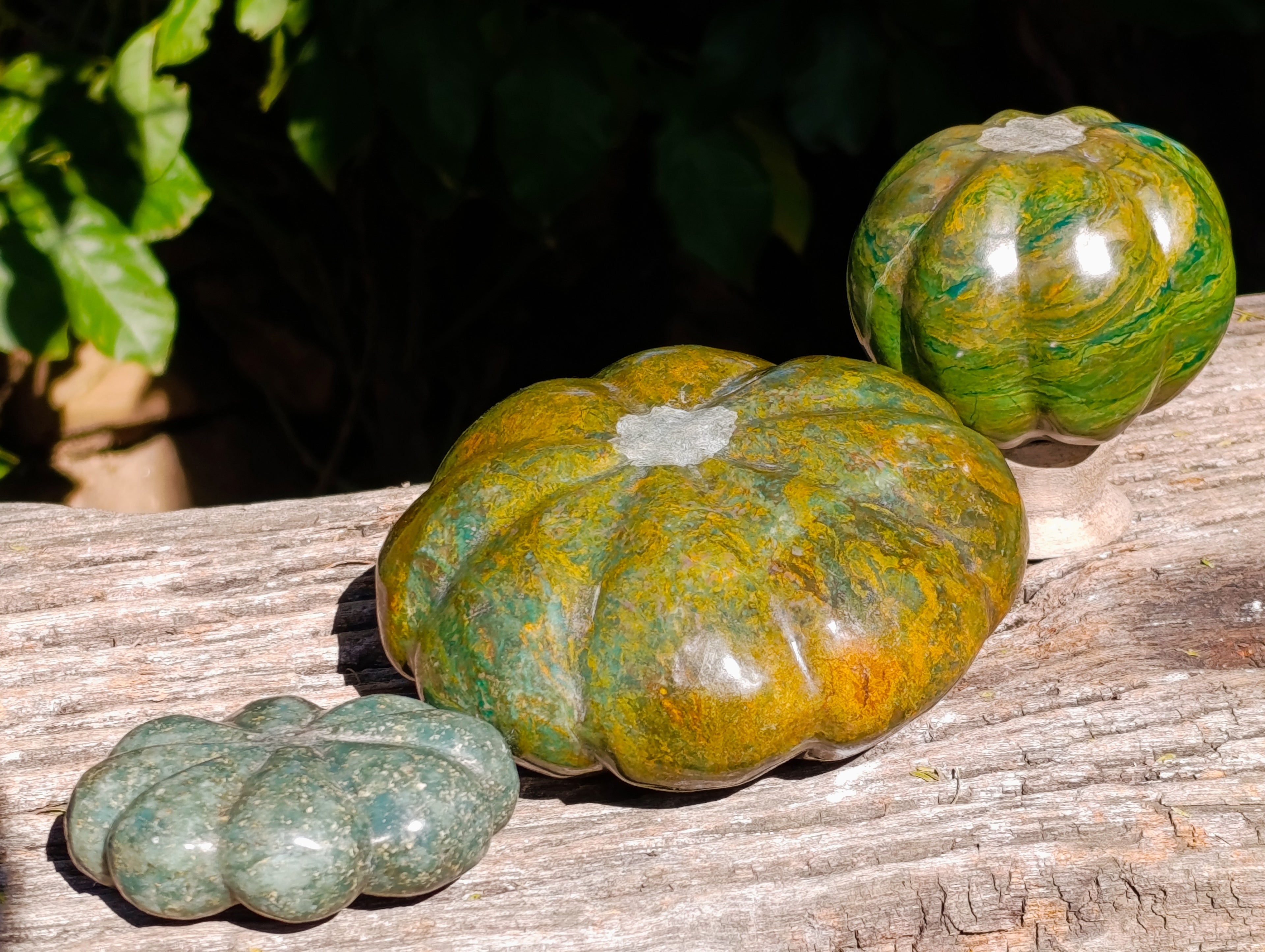 Hand Made Pumpkin and Patty Pan Squash Carvings x 3 From Zimbabwe - Toprock Gemstones and Minerals 