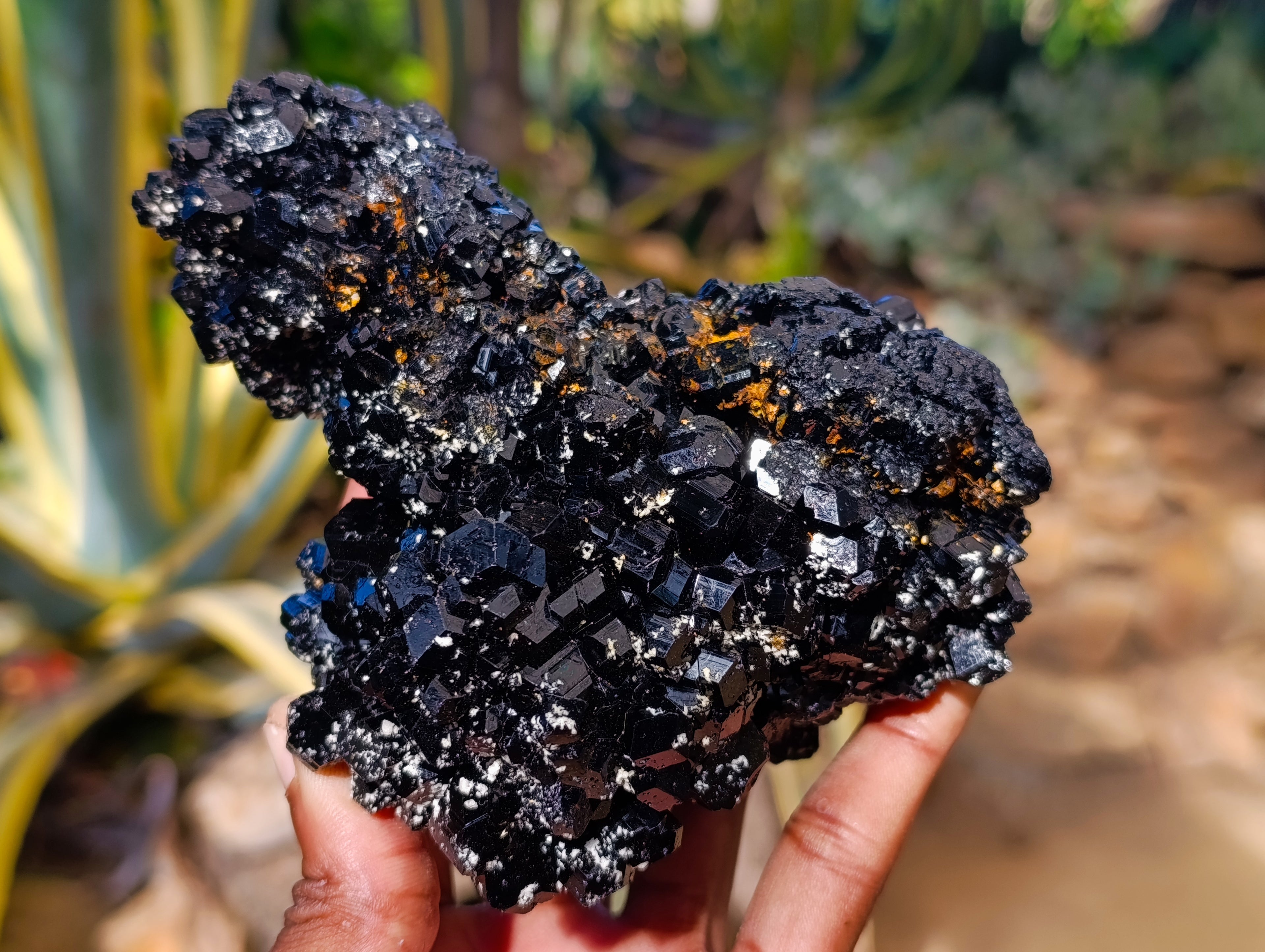 Natural Schorl Black Tourmaline With Hyalite Opal Specimens x 2 From Erongo, Namibia - Toprock Gemstones and Minerals 