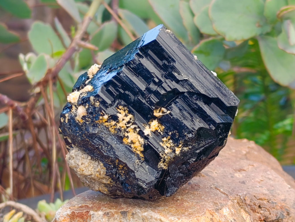 Natural Schorl Black Tourmaline With Hyalite Opal Specimens x 2 From Erongo, Namibia - Toprock Gemstones and Minerals 