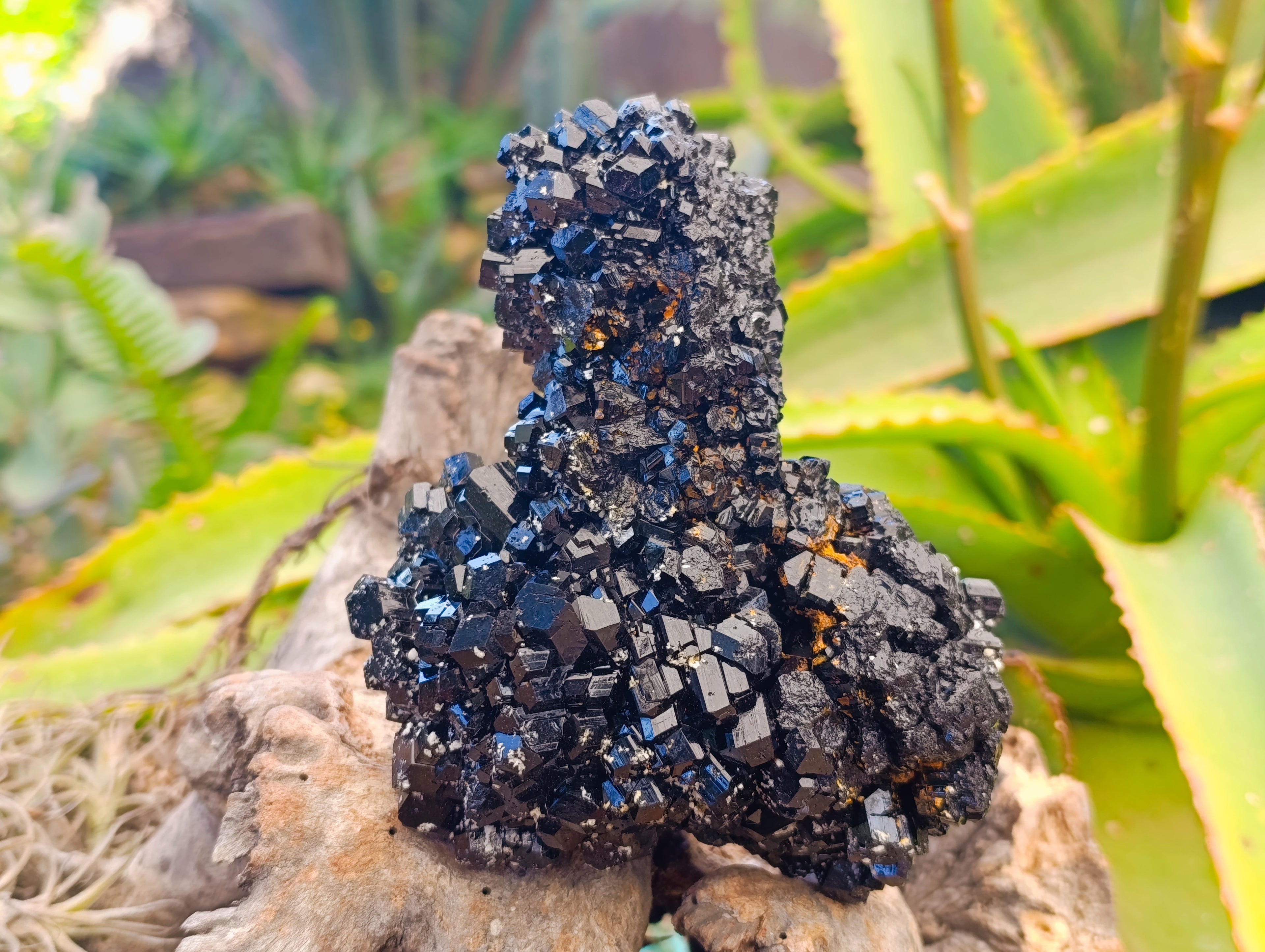 Natural Schorl Black Tourmaline With Hyalite Opal Specimens x 2 From Erongo, Namibia - Toprock Gemstones and Minerals 