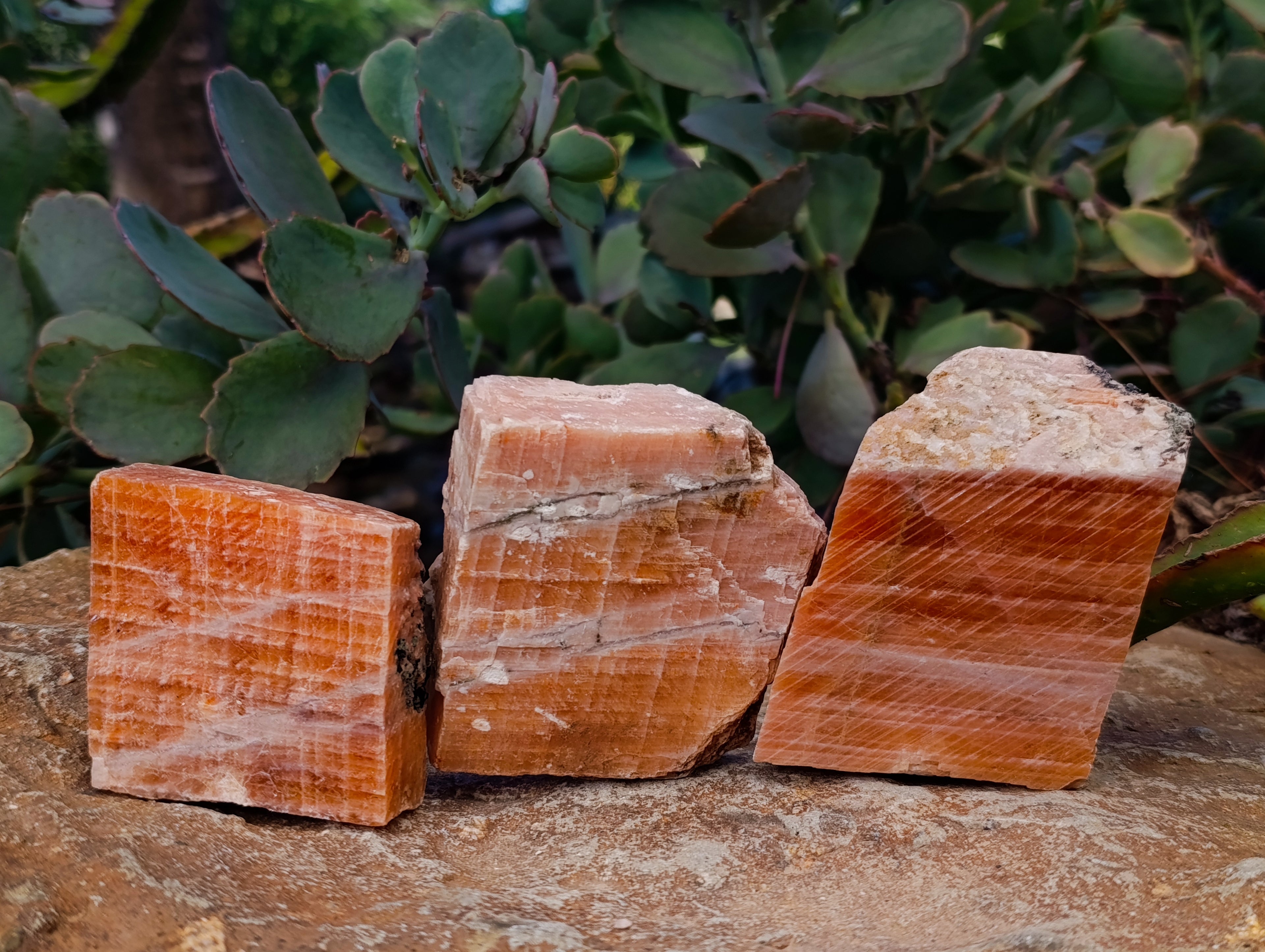 Natural Rhombohedral Sunset Orange Calcite Specimens x 12 From Spitzkop, Namibia - Toprock Gemstones and Minerals 