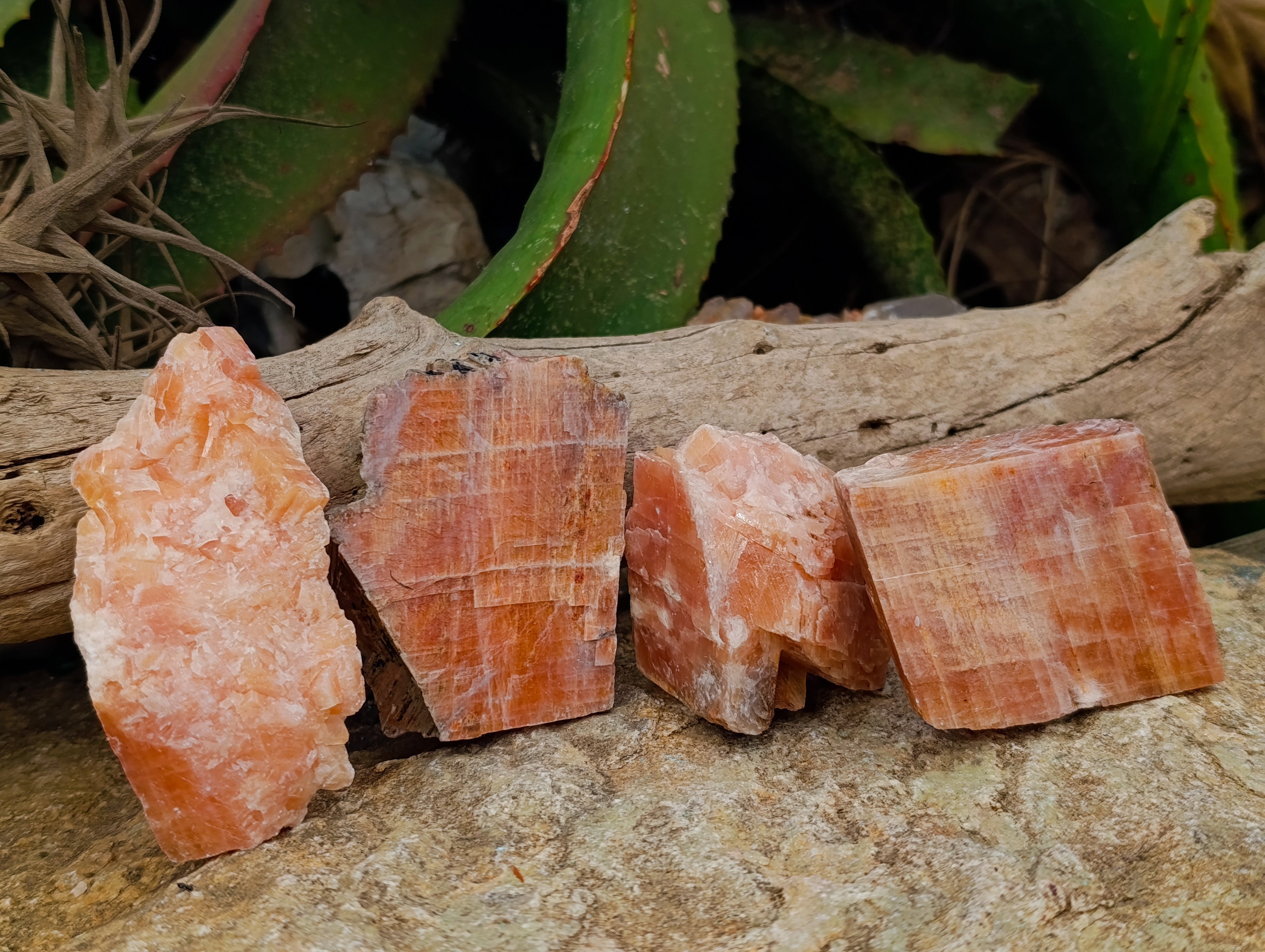 Natural Rhombohedral Sunset Orange Calcite Specimens x 12 From Spitzkop, Namibia - Toprock Gemstones and Minerals 