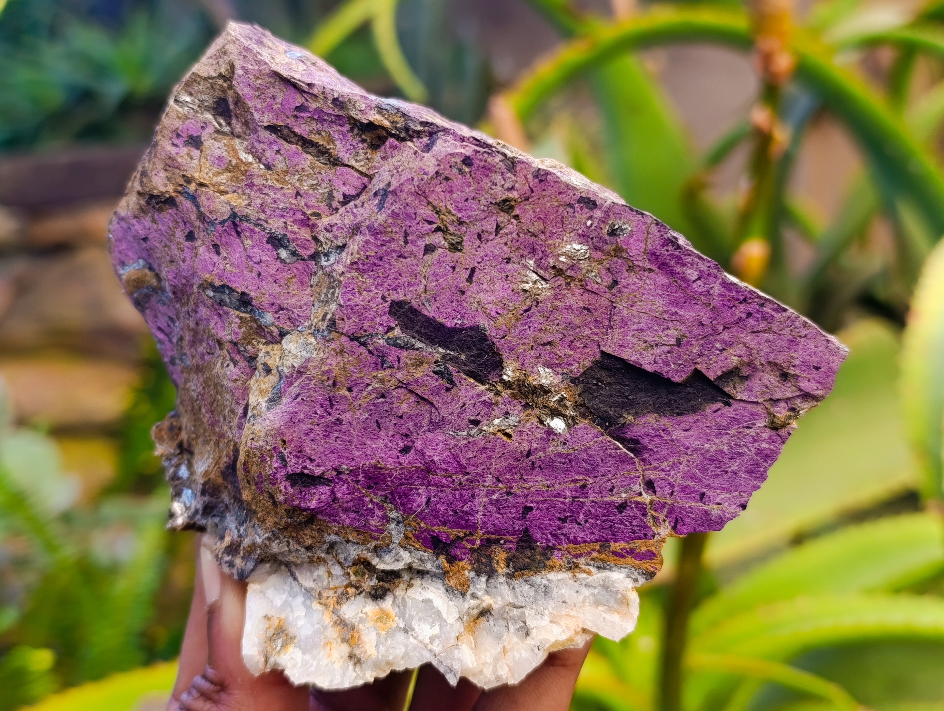 Natural Purpurite Specimens x 4 From Namibia - Toprock Gemstones and Minerals 