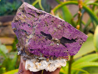 Natural Purpurite Specimens x 4 From Namibia