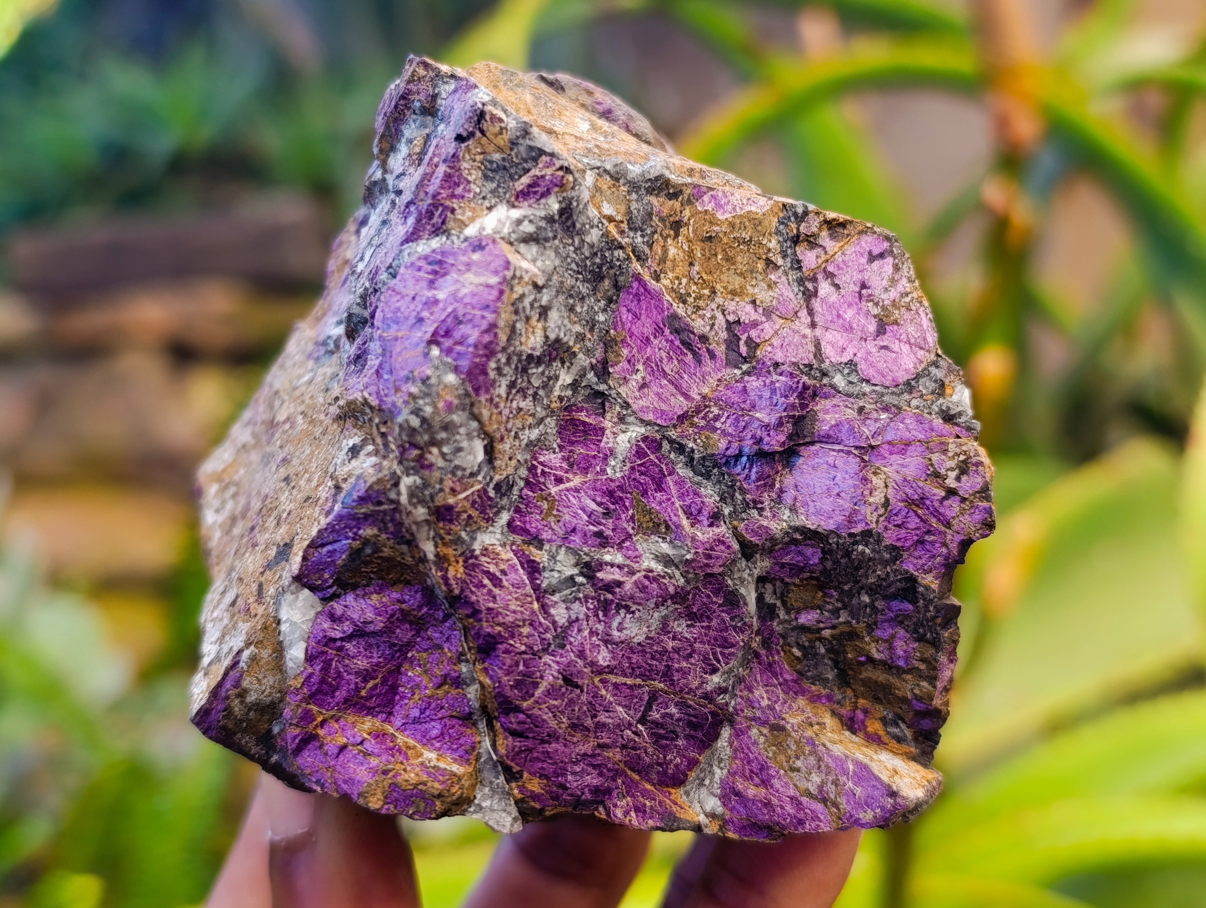 Natural Purpurite Specimens x 4 From Namibia - Toprock Gemstones and Minerals 