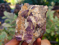 Natural Purpurite Specimens x 4 From Namibia