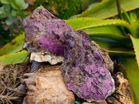 Natural Purpurite Specimens x 4 From Namibia