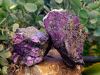 Natural Purpurite Specimens x 4 From Namibia - Toprock Gemstones and Minerals 