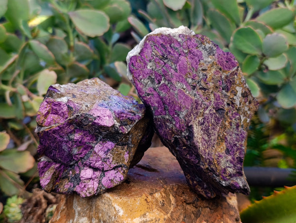 Natural Purpurite Specimens x 4 From Namibia