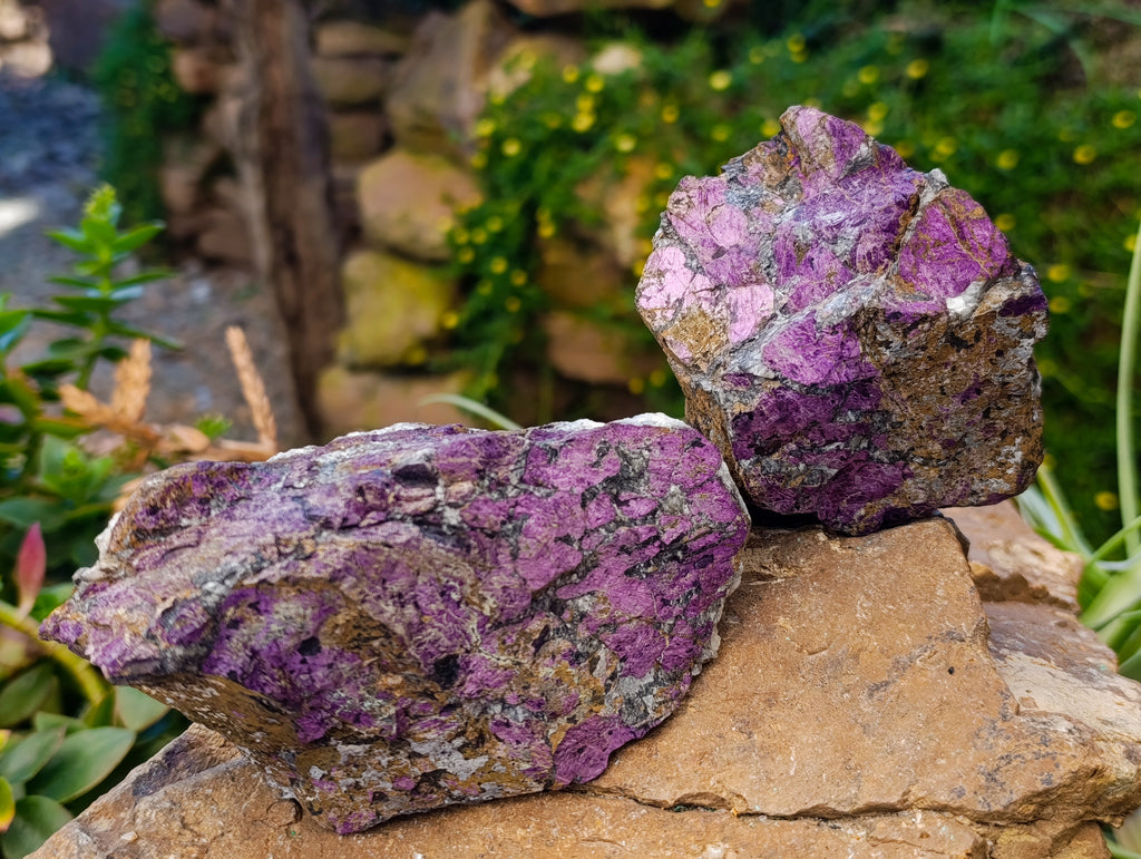 Natural Purpurite Specimens x 4 From Namibia - Toprock Gemstones and Minerals 