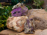 Natural Purpurite Specimens x 4 From Namibia