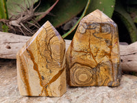 Polished Picture Stone Jasper Points x 2 From Ais-Ais, Namibia - Toprock Gemstones and Minerals 