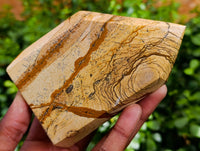 Polished Picture Stone Jasper Points x 2 From Ais-Ais, Namibia - Toprock Gemstones and Minerals 
