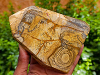 Polished Picture Stone Jasper Points x 2 From Ais-Ais, Namibia - Toprock Gemstones and Minerals 