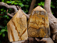 Polished Picture Stone Jasper Points x 2 From Ais-Ais, Namibia - Toprock Gemstones and Minerals 