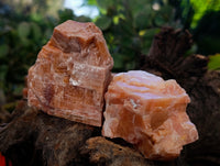 Natural Sunset Orange Calcite Specimens x 12 From Spitzkop, Namibia