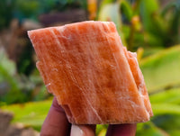 Natural Sunset Orange Calcite Specimens x 12 From Spitzkop, Namibia