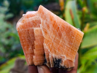 Natural Sunset Orange Calcite Specimens x 12 From Spitzkop, Namibia