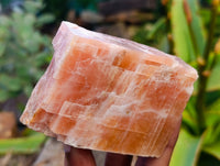 Natural Sunset Orange Calcite Specimens x 12 From Spitzkop, Namibia