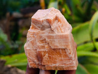 Natural Sunset Orange Calcite Specimens x 12 From Spitzkop, Namibia